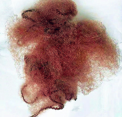 Brown Nylon Invisible Hairnets 14&quot; Jaring Rambut Sekali Pakai